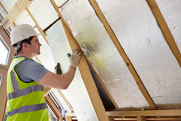 Best DIY Insulation Kits and Guidance in Wasilla, AK