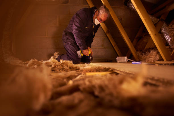 Best Residential Insulation in Wasilla, AK