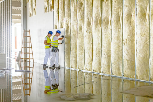 Best Eco-Friendly Insulation in Wasilla, AK